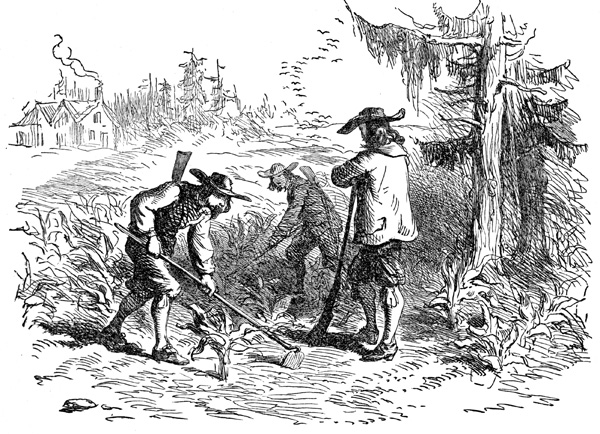 George “Wild Catt Swamp” Jarnegan, Sr. (bef. 1726 –&nbsp;1778)